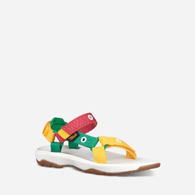 Teva Kids Hurricane Xlt 2 - Hungry Caterpillar Hiking Sandals Sale NZ (IKYDE-1095)